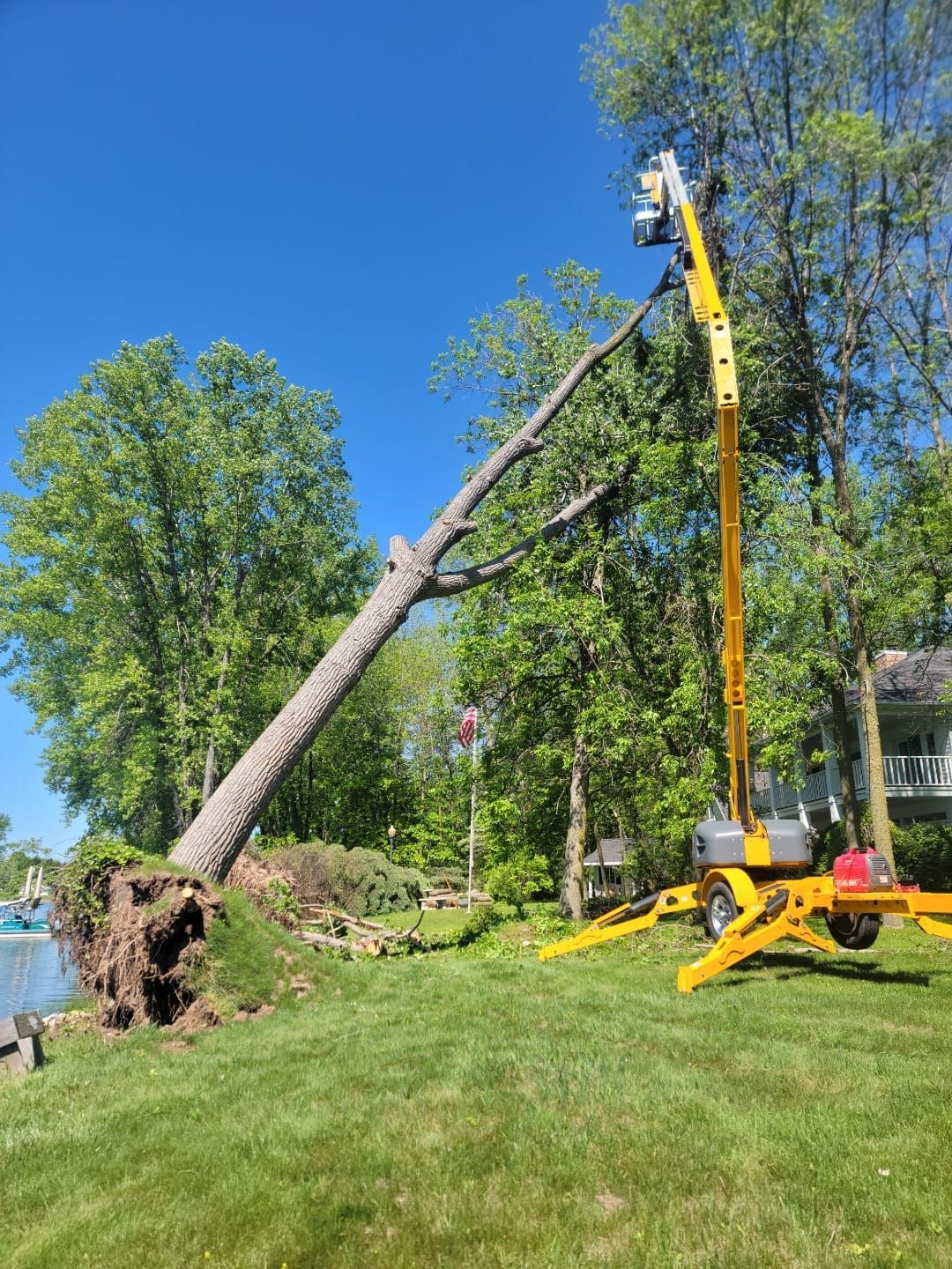 A crane is cutting down a tree in a yard.