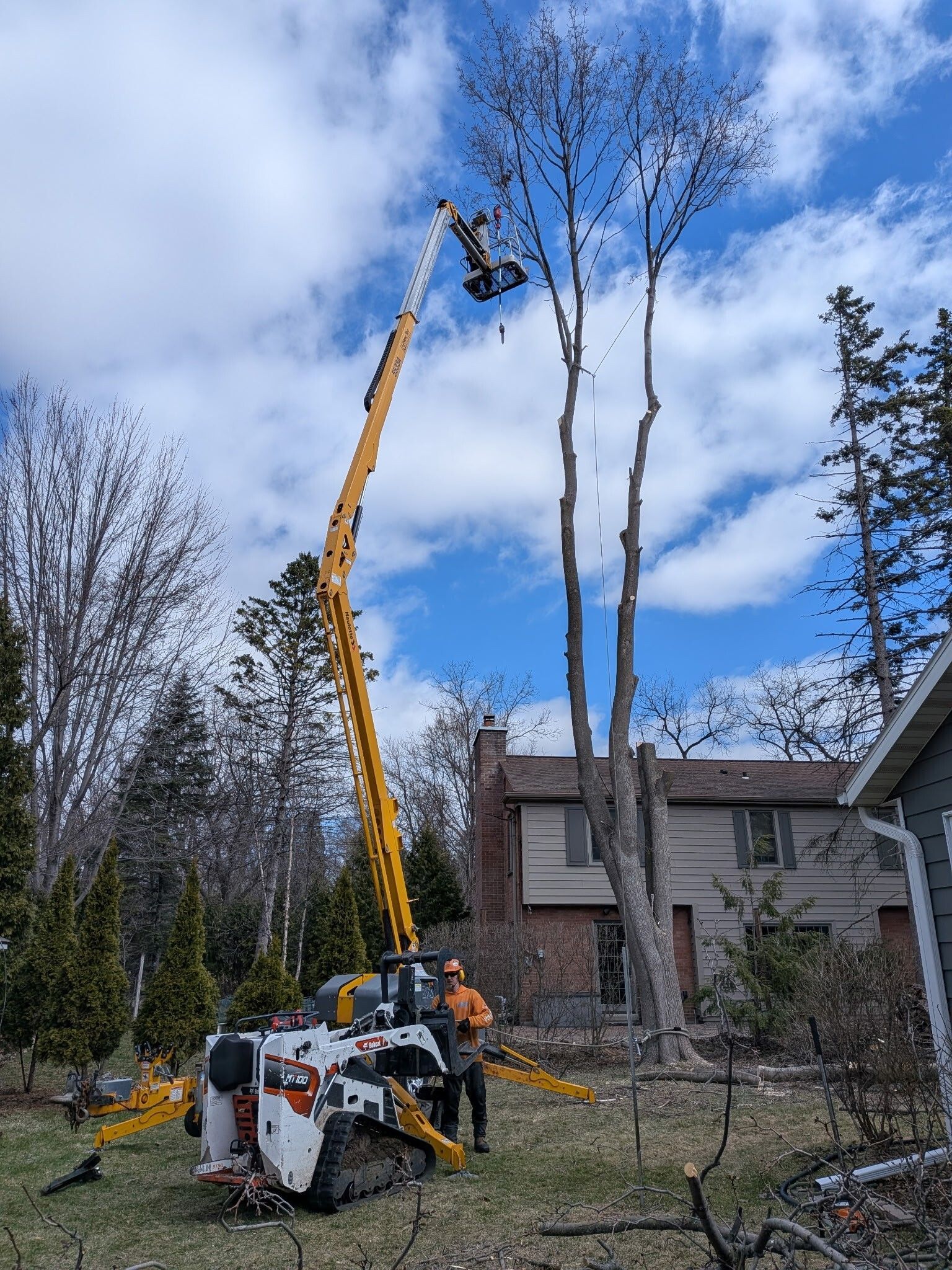 A man is cutting a tree with a crane in the woods.