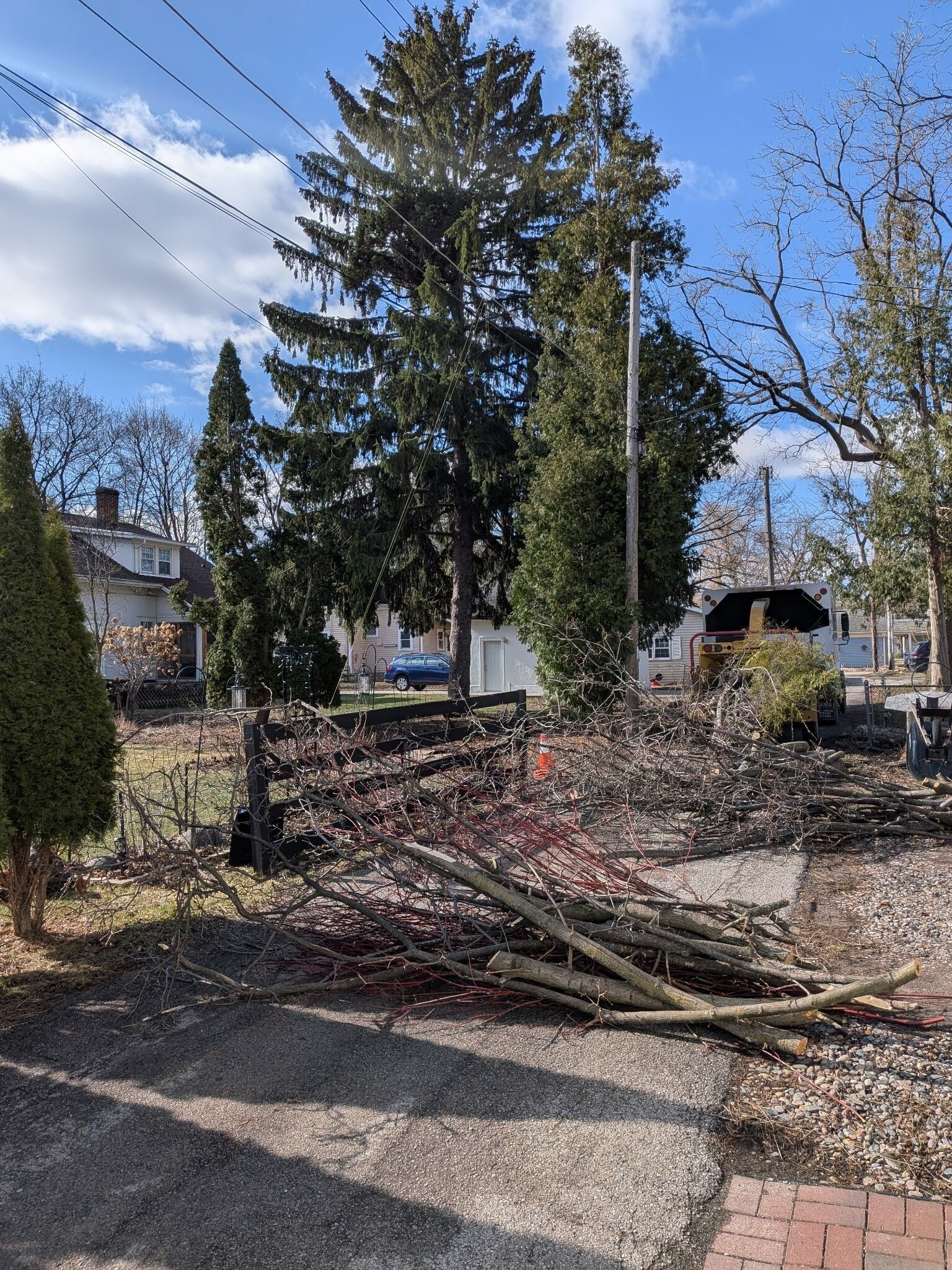 A tree is being cut down in front of a house.