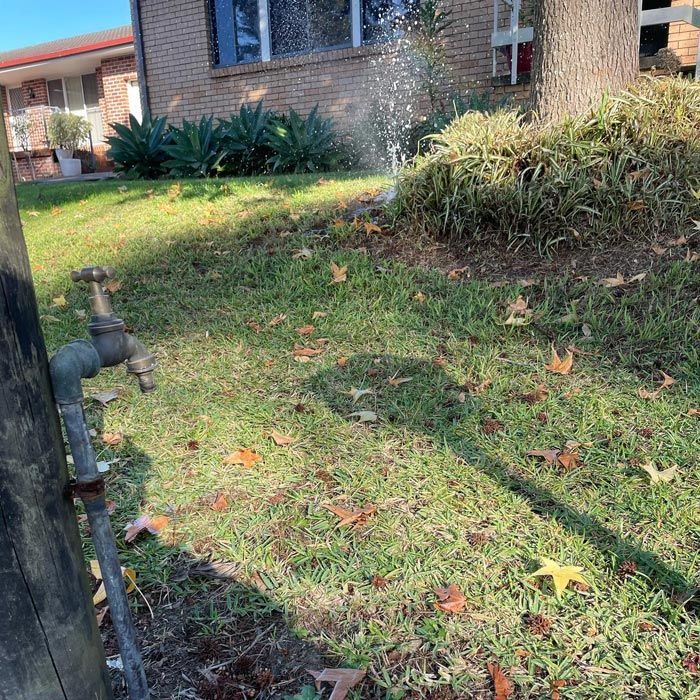 Leaking Water Pipe In The Middle Of A Grass Lawn — Bridge Plumbing & Trades in Shoalhaven, NSW