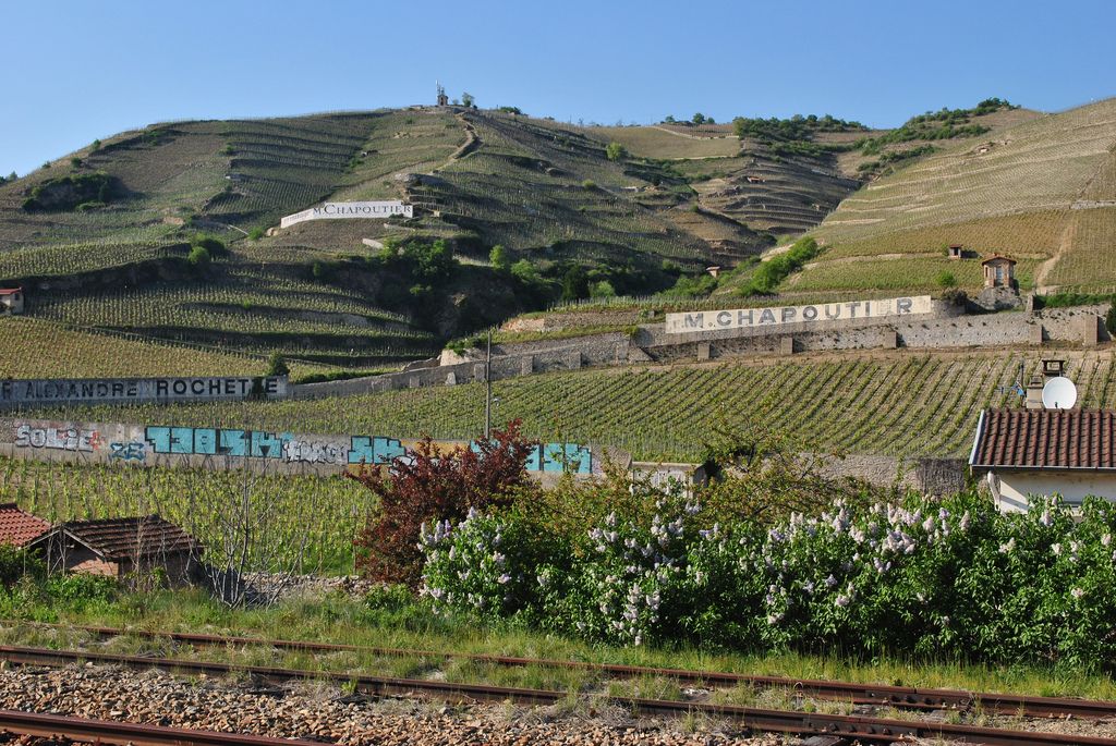 Northern Rhône
