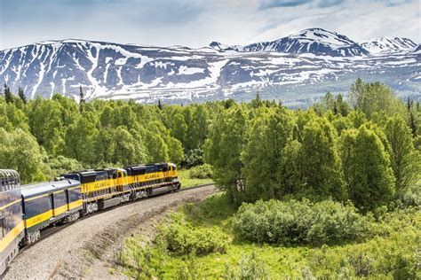 Yellow train winding through green forest with snowy mountains in the background
