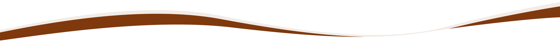 A close up of a brown line on a white background.