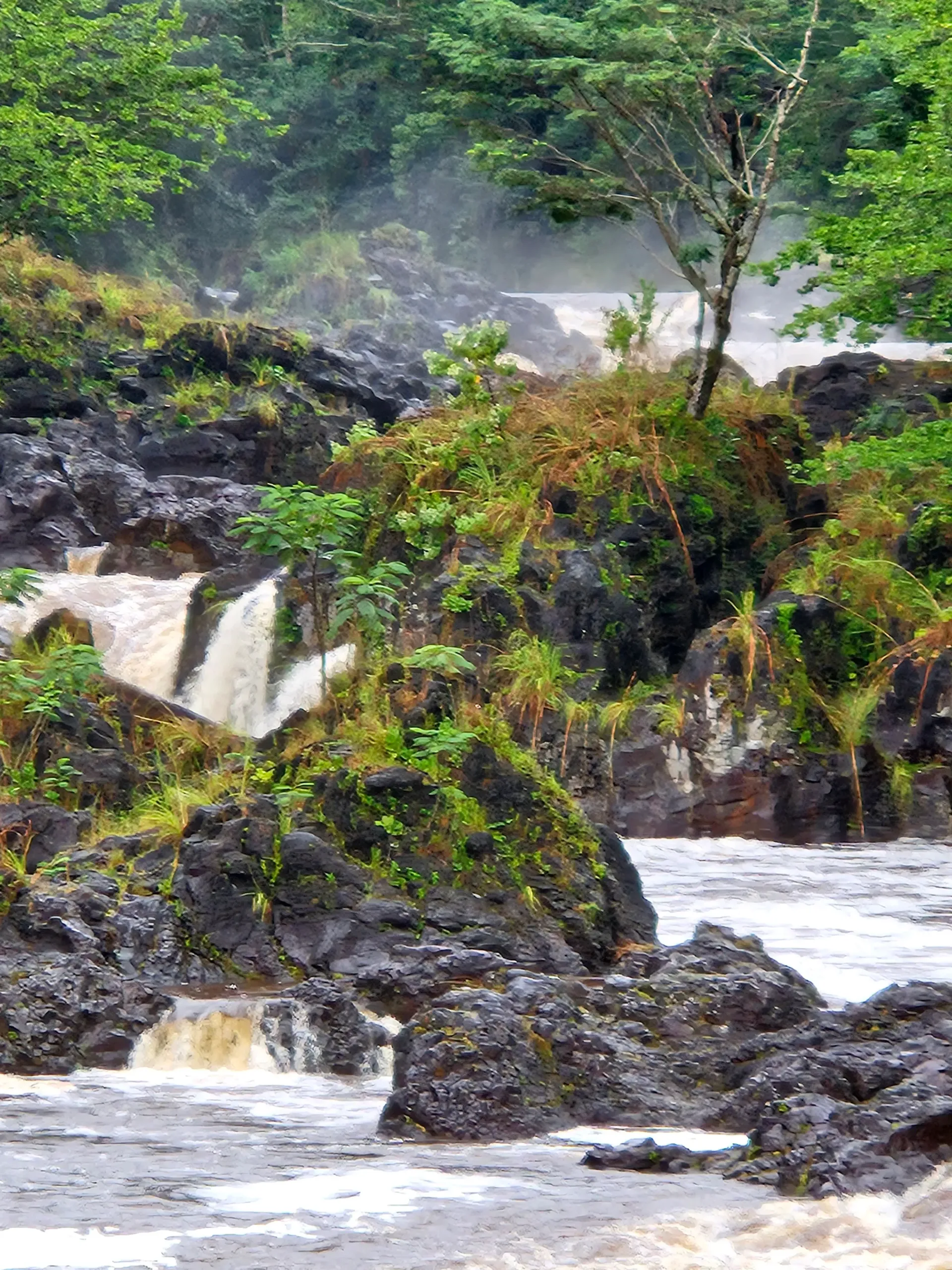 A waterfall is surrounded by rocks and trees in the middle of a river.