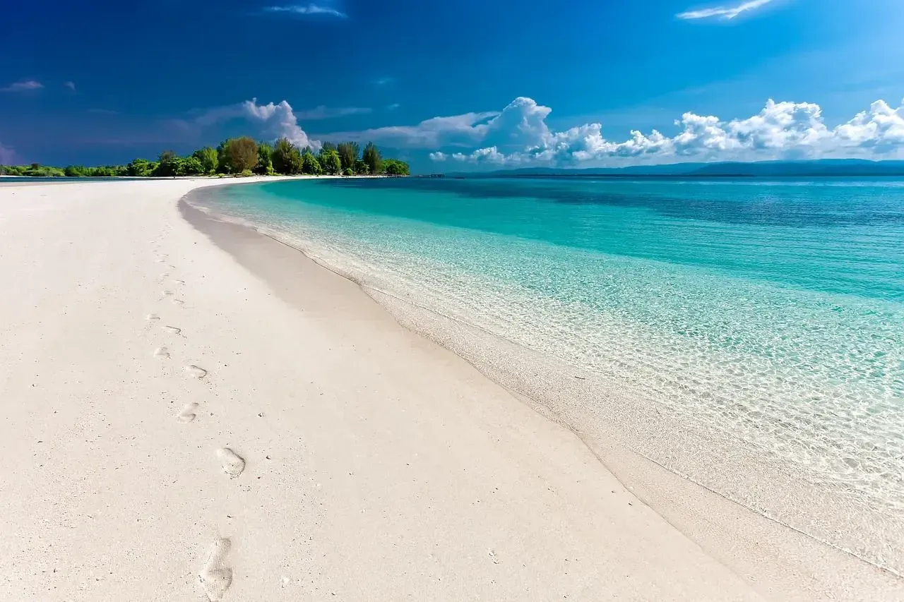 There are footprints in the sand on the beach.