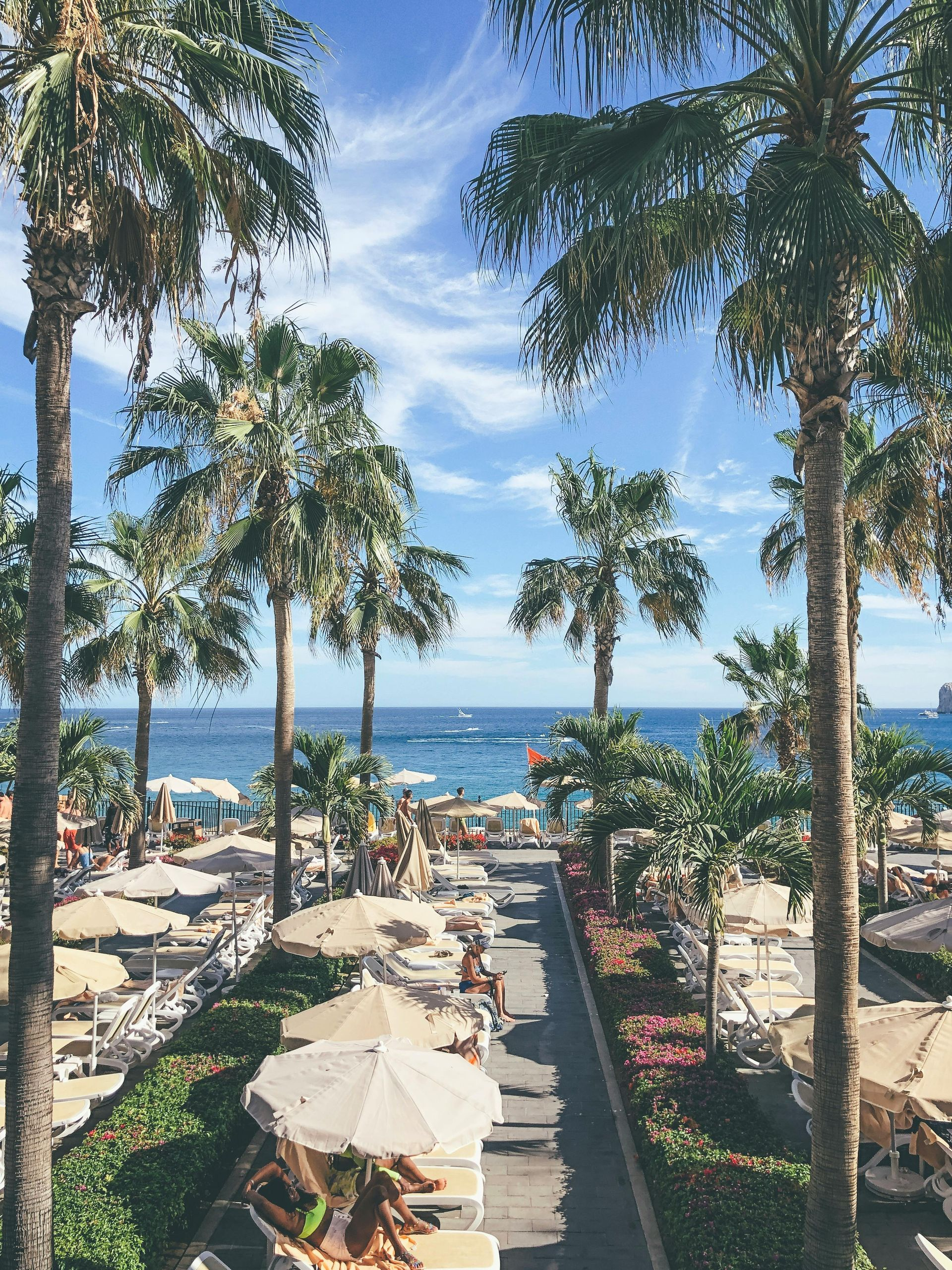 Tropical resort walkway with palm trees, white umbrellas, and lounge chairs overlooking the ocean
