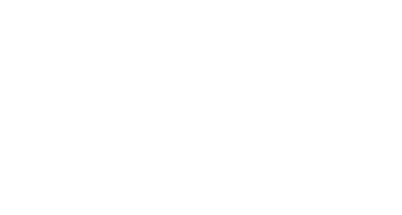 Immagine bianca vuota con una sottile linea nera vicino al bordo inferiore.