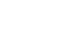 Immagine bianca vuota con una sottile linea nera vicino al bordo inferiore.