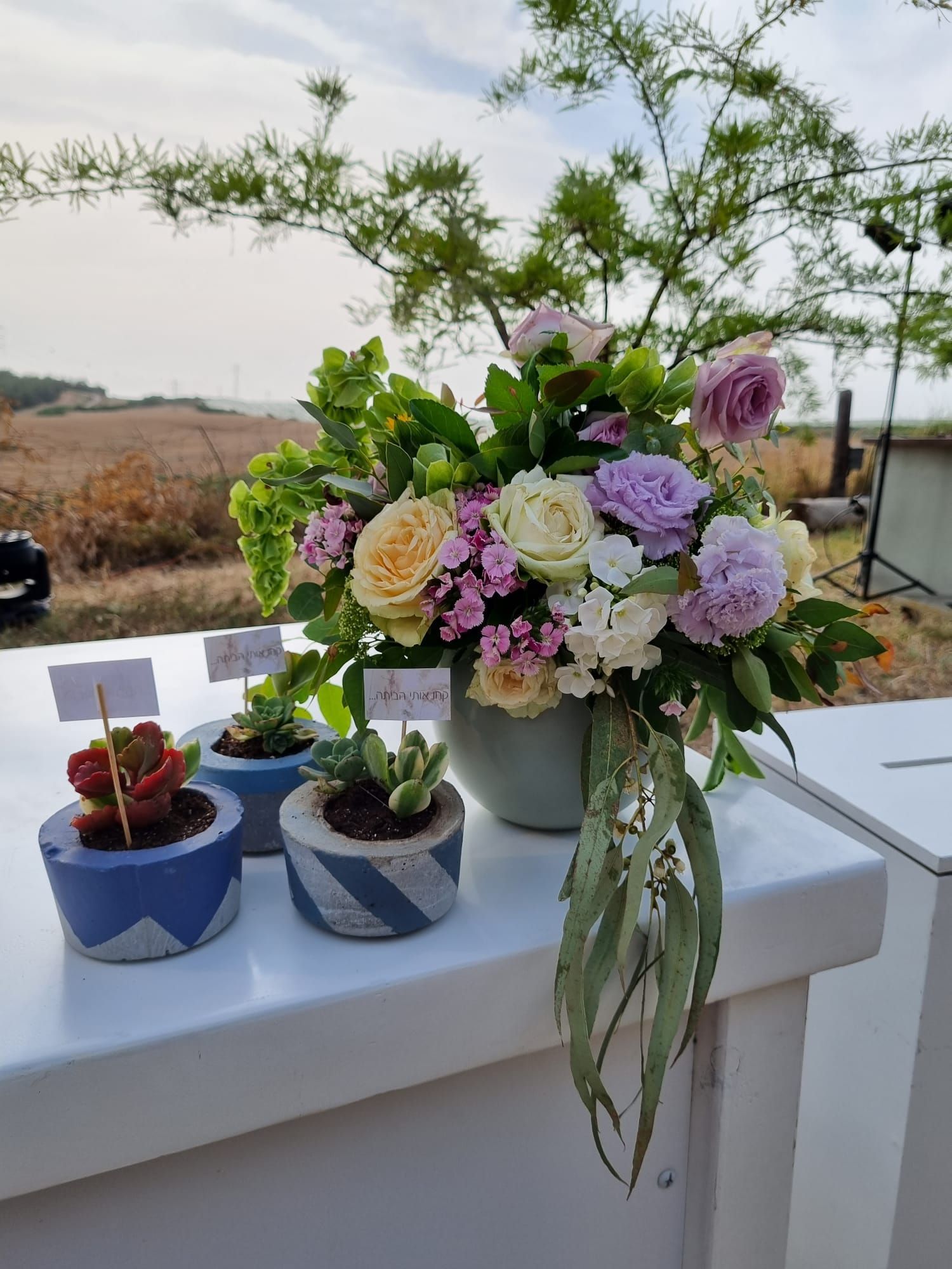 סידור פרחים לעמדת מארחת