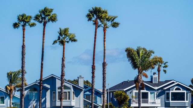 island homes and palm trees galveston texas