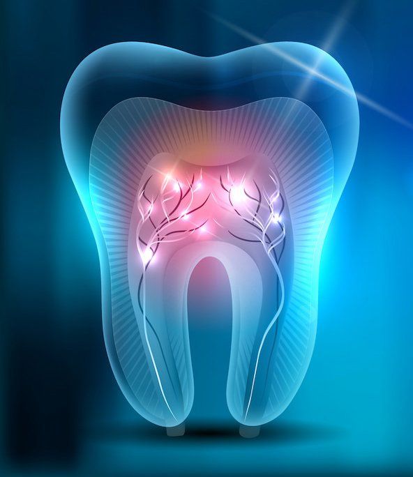 Tooth Illustration — Island Sands Dental in Boyne Island, QLD