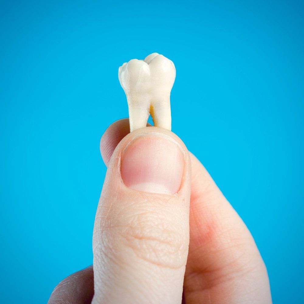 Hand Holding Large Tooth — Island Sands Dental in Boyne Island, QLD