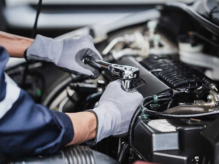 Professional mechanic working
