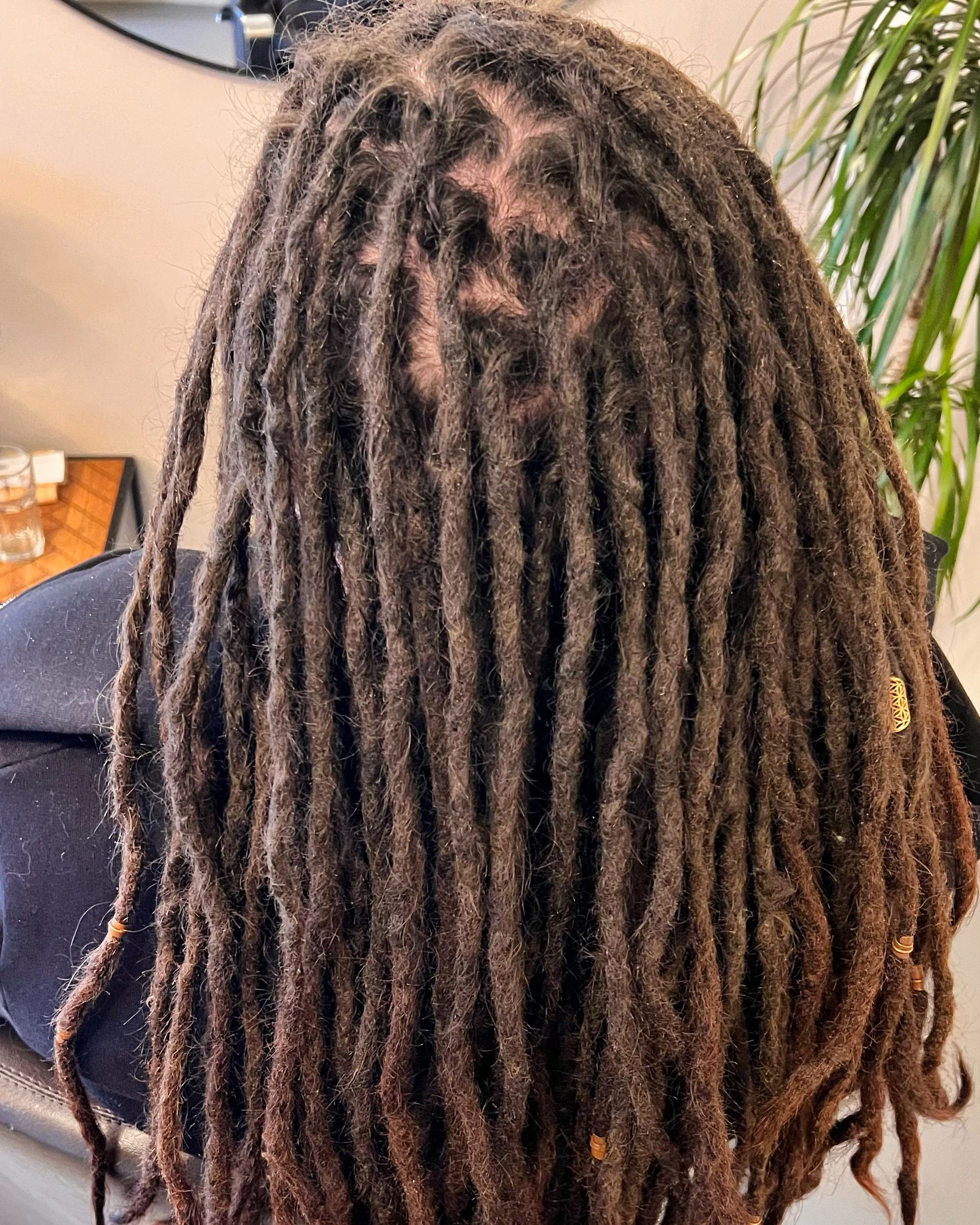 Bruine dreadlocks, van achteren gezien, met zichtbare hoofdhuid.