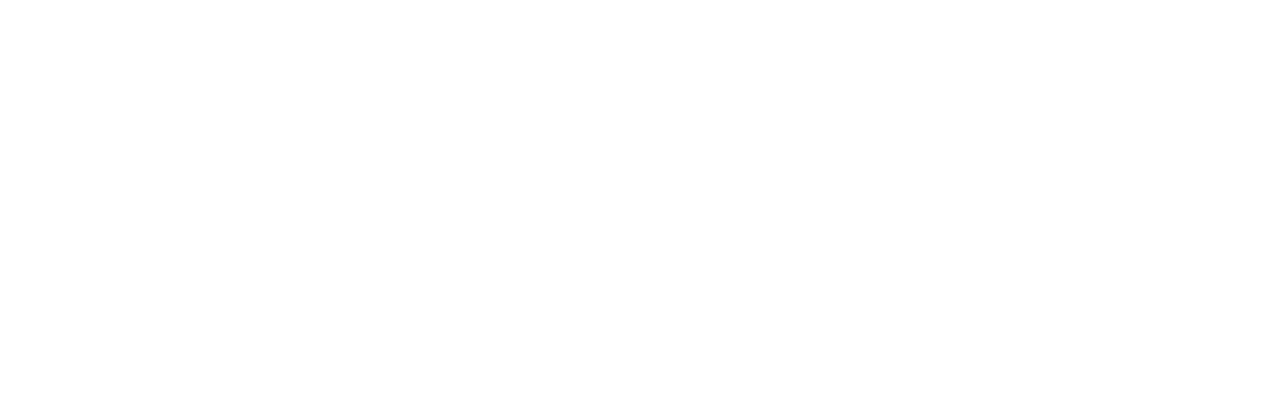 icon logo