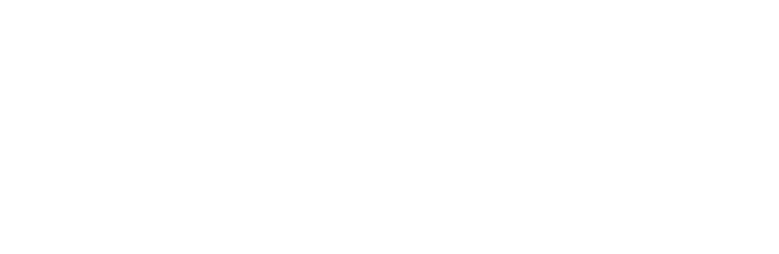 icon logo