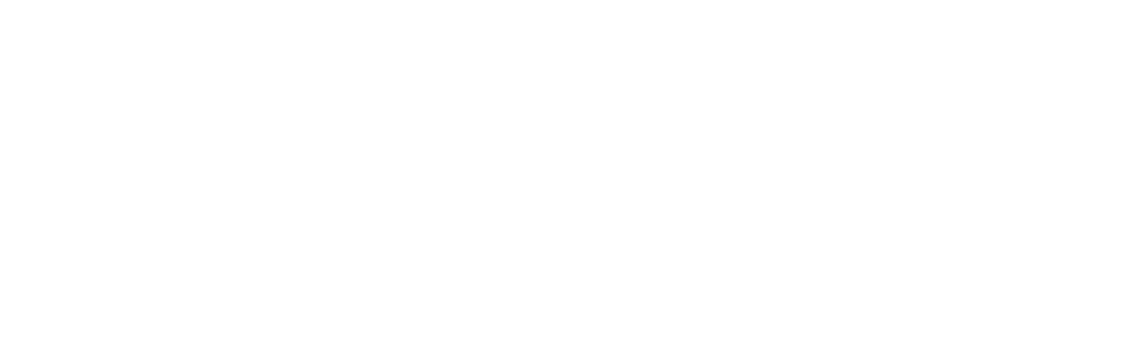 icon logo