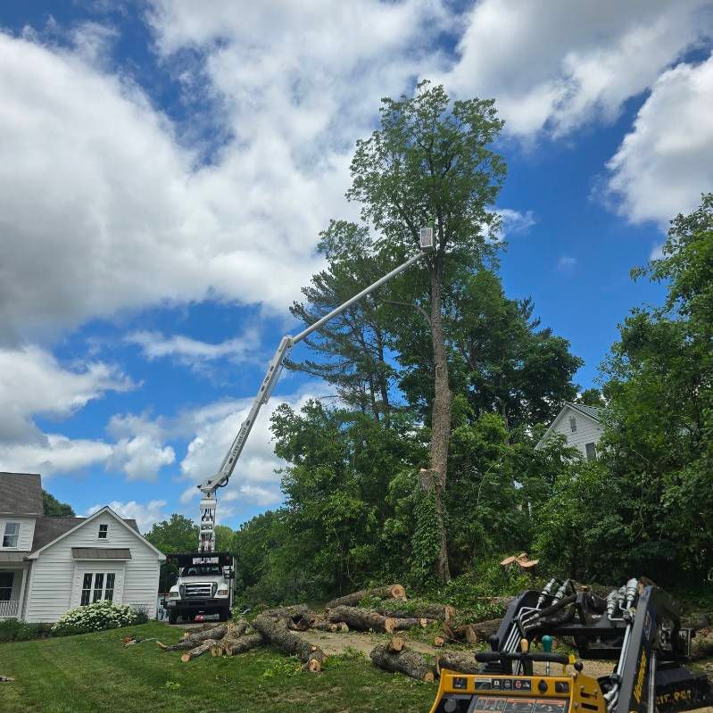 Tree-trimming truck with extended boom cutting a tall tree beside a house under a blue sky