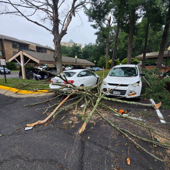 Storm damage on a parking lot: fallen tree limbs across two parked cars near apartment buildings.