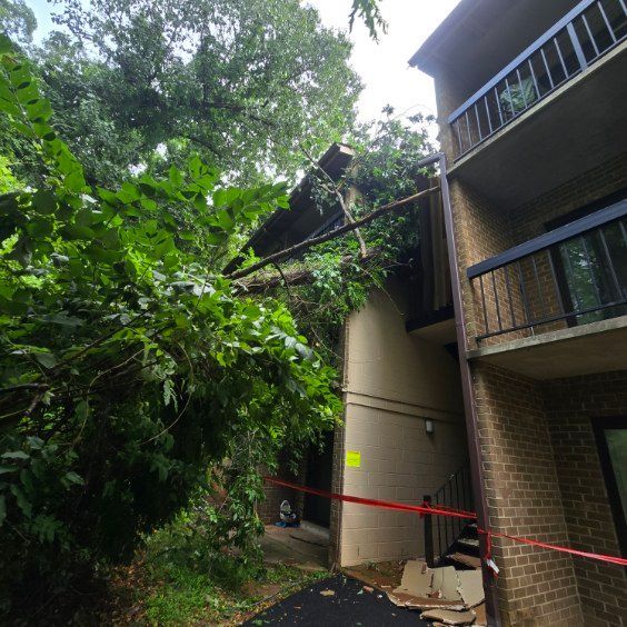 Storm-damaged building with fallen tree limbs, blocked by red caution tape