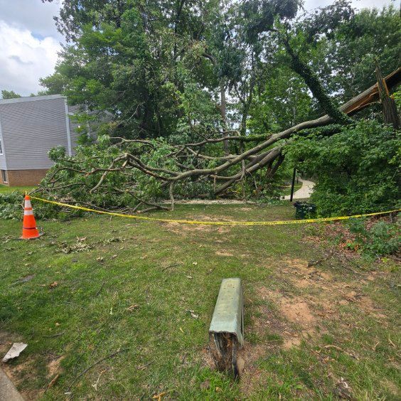 Downed tree across yard, with caution tape, orange cone, and broken bench in the foreground