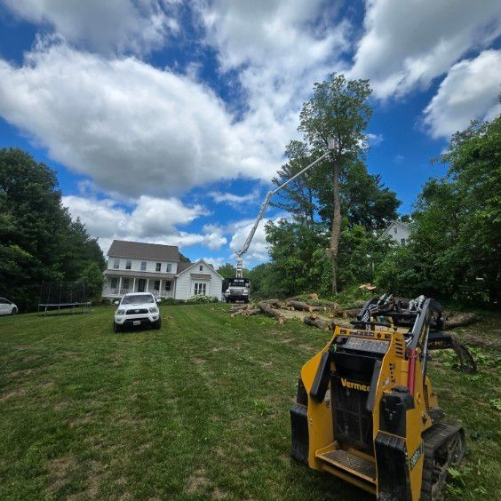 Yellow skid steer in a grassy yard beside a white house, with trees, fallen branches, and a cloudy sky.