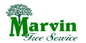 A logo for marvin tree service with a tree in the middle