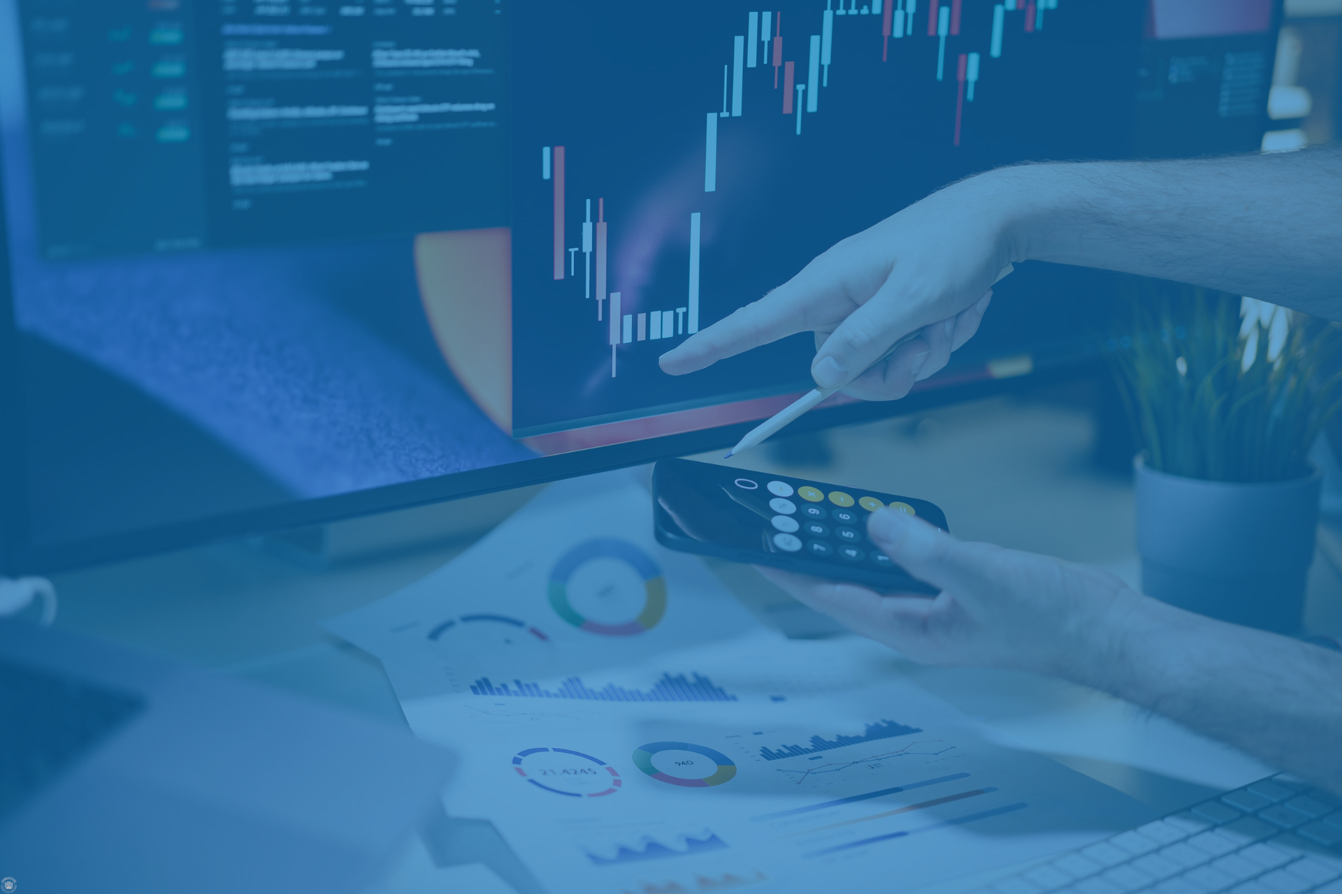 Reviewing financial charts and calculations, representing commission rates and supplier access.