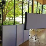 Portable projection screens in a bright room with large windows and trees outside