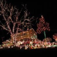 House and trees lit with colorful holiday lights at night