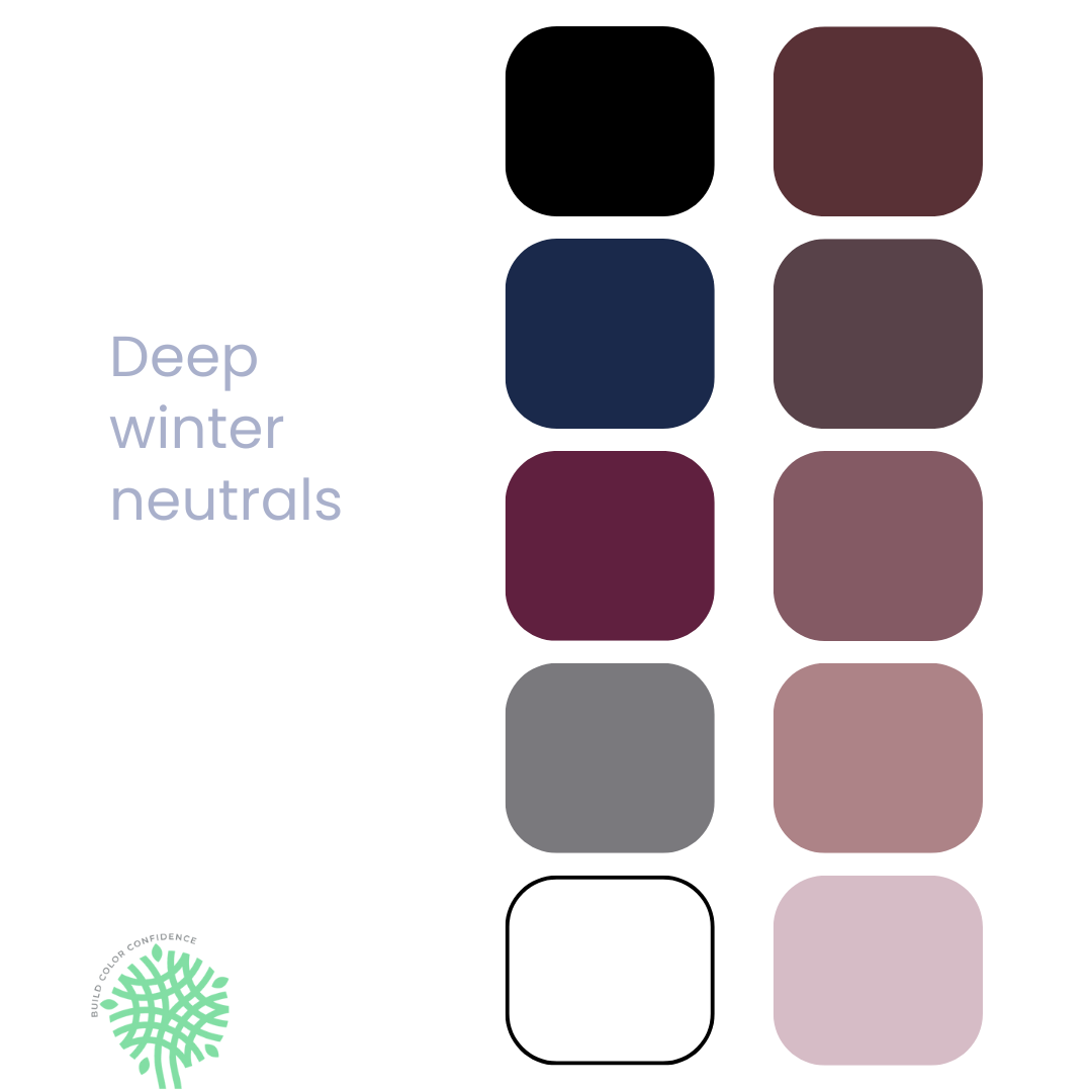 A palette of colors for a deep winter neutral.