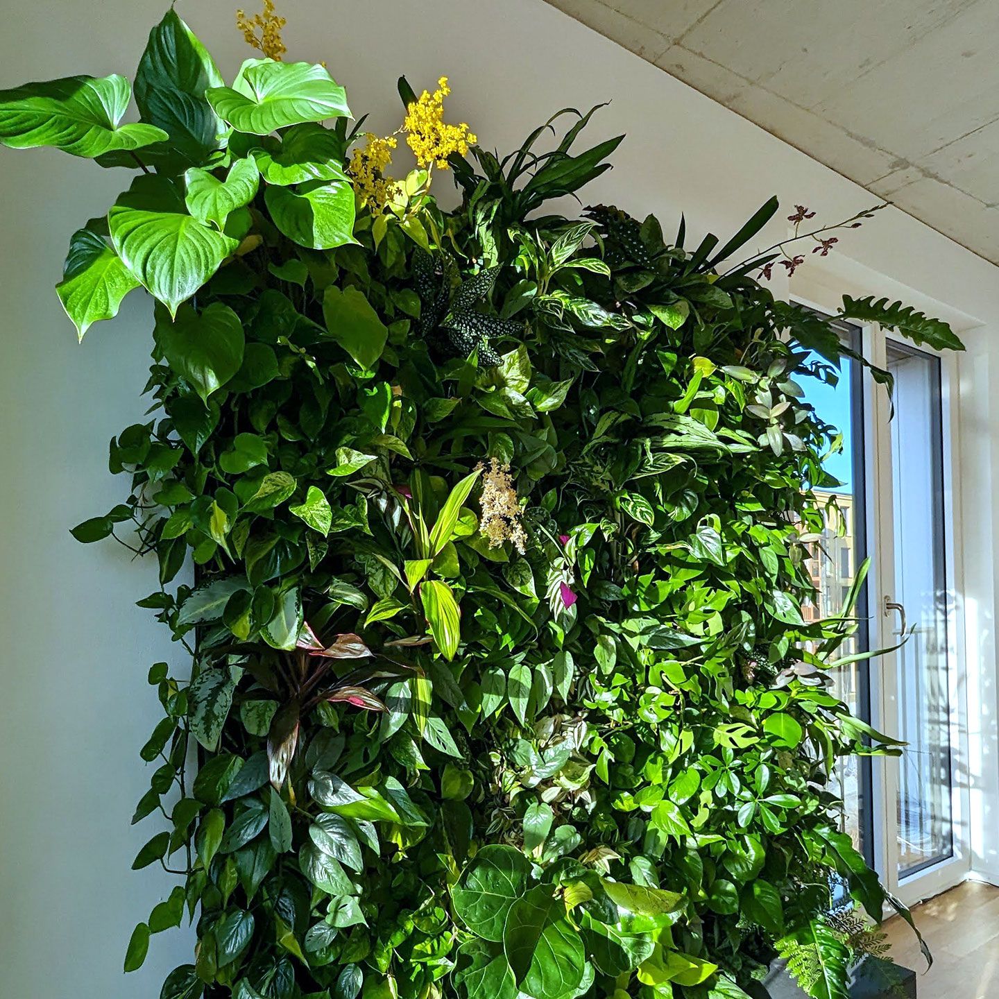 Pflanzenwand Anwaltskanzlei