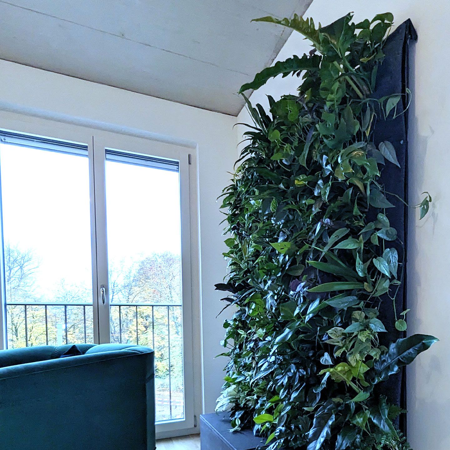 Pflanzenwand Anwaltskanzlei