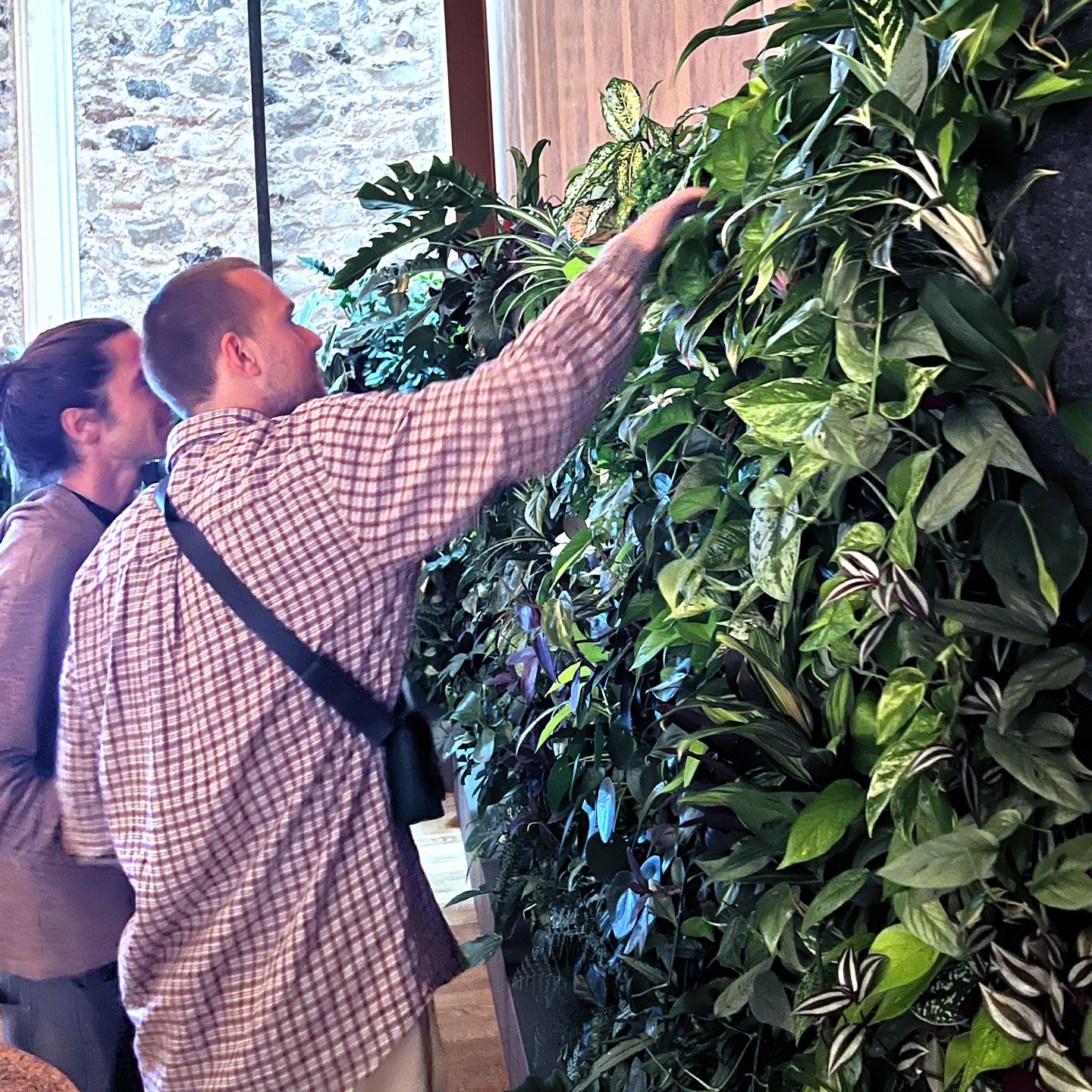 Pflanzenwand im Innenraum