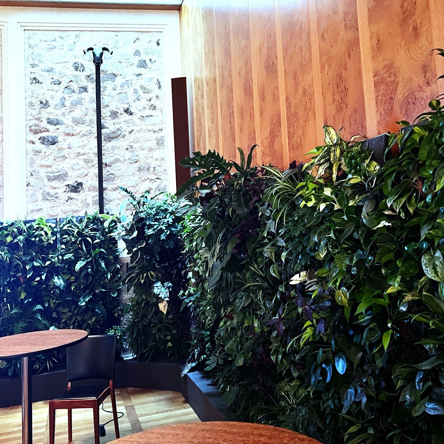 Wandbepflanzung und Vertikalgarten