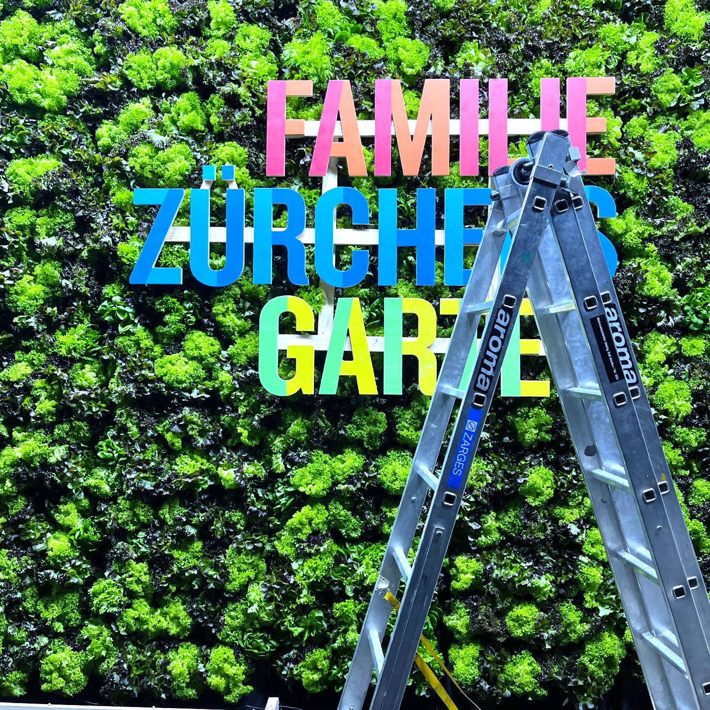 pflanzenwand projekt
