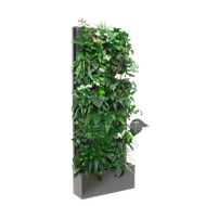 Pflanzenwand Modular im Set. Vertikalbegrünung für jeden Raum