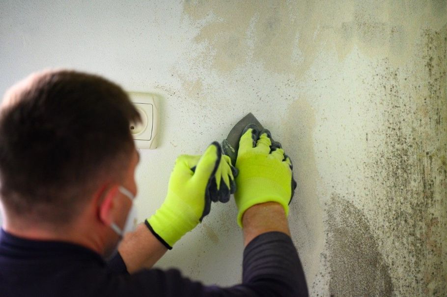 Person in neon gloves scraping mold from a stained wall indoors