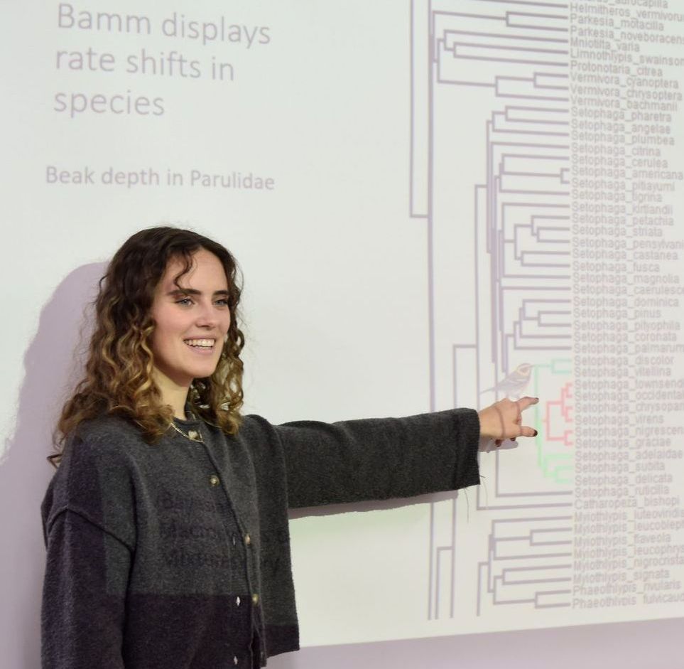 Lena points to a projector screen that reads Bamm displays rate shifts in species.