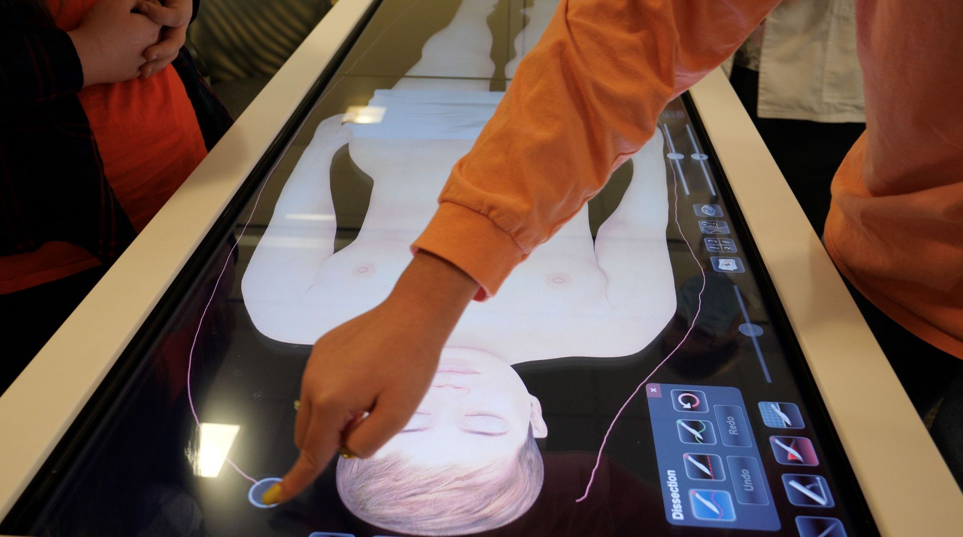 Students participating in an activity using Union's virtual human dissection table, the Anatomage.