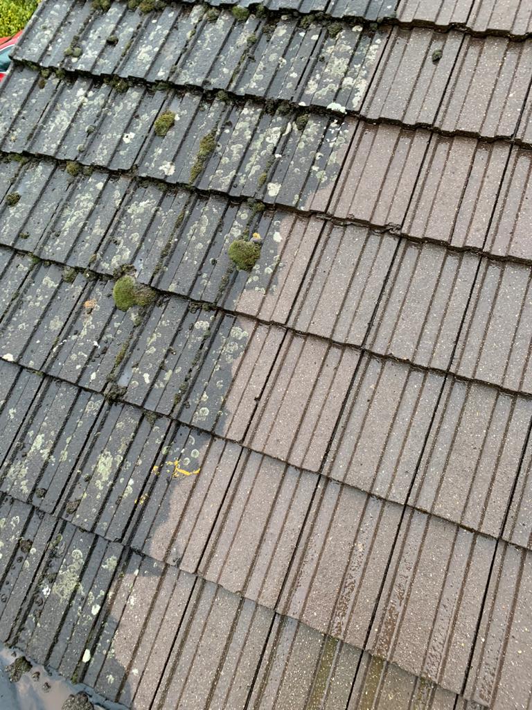 Deep & Soft Roof Cleaning