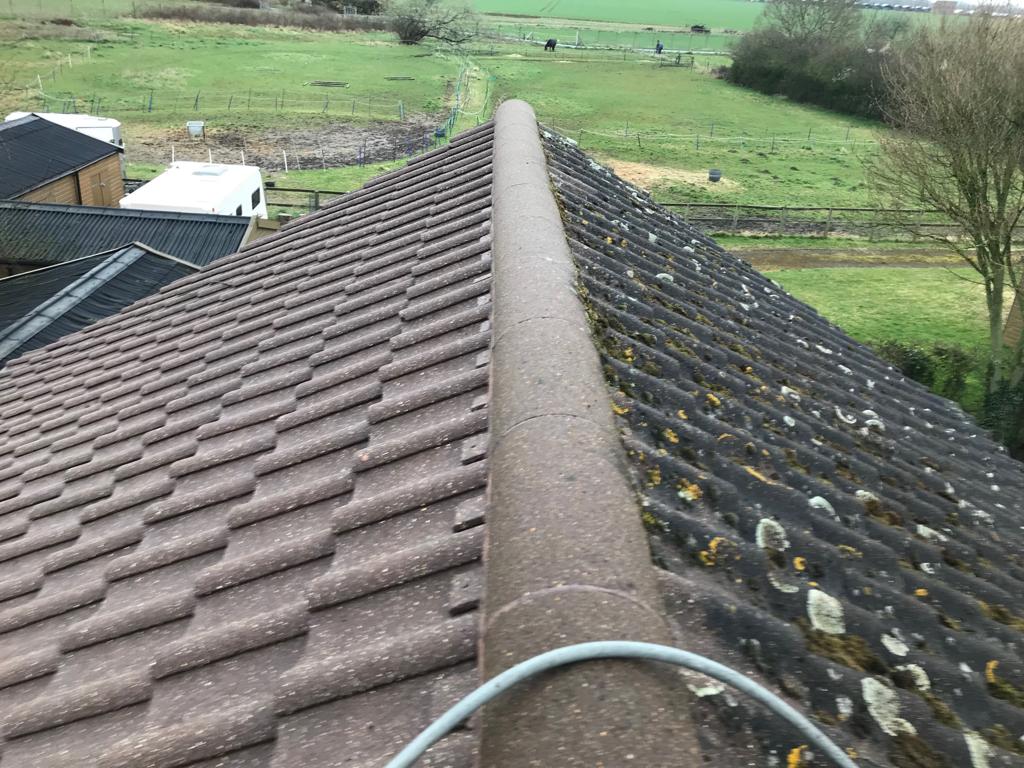 roof cleaning before and after