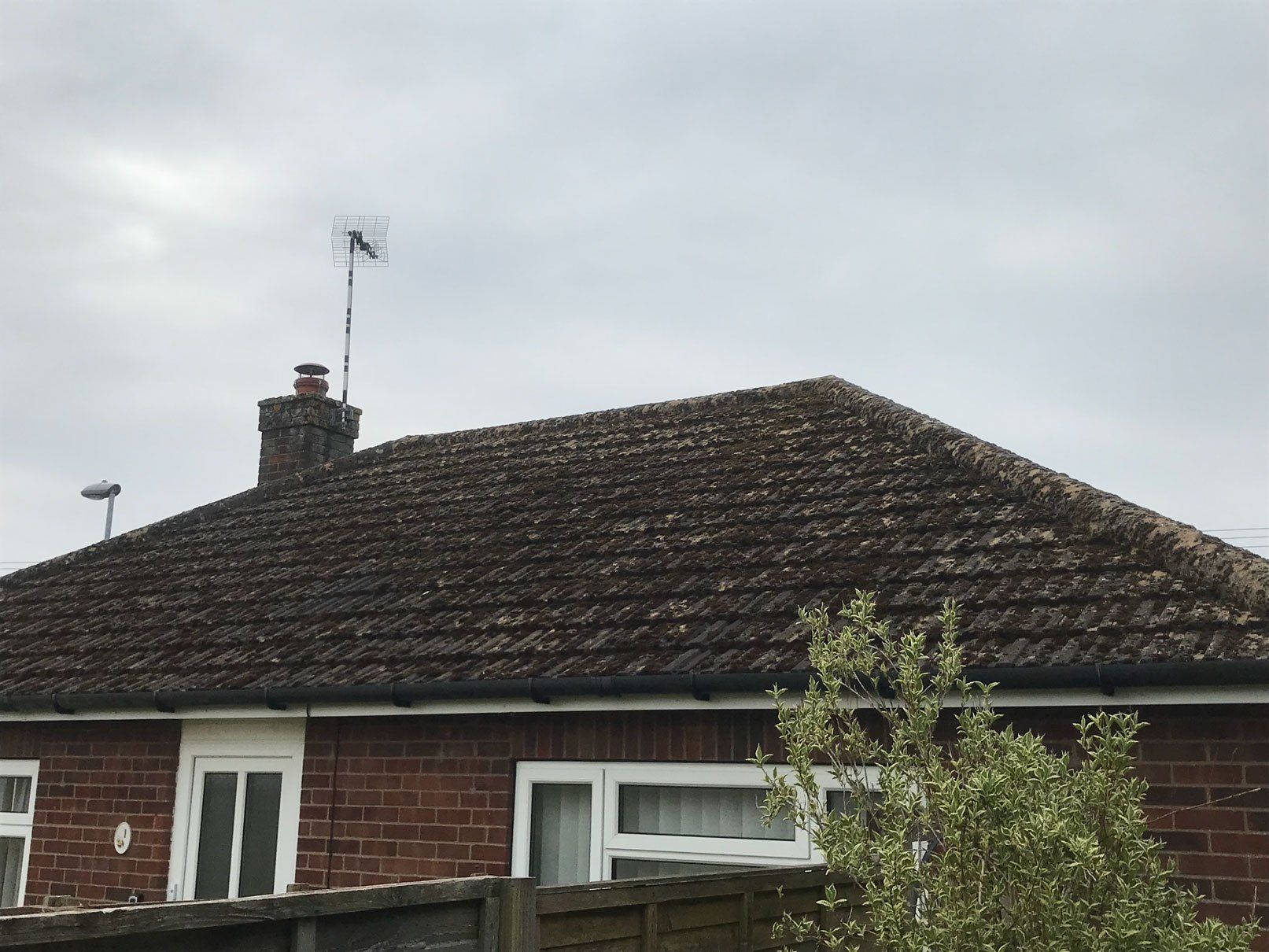Roof Cleaning Project 3 Image 1