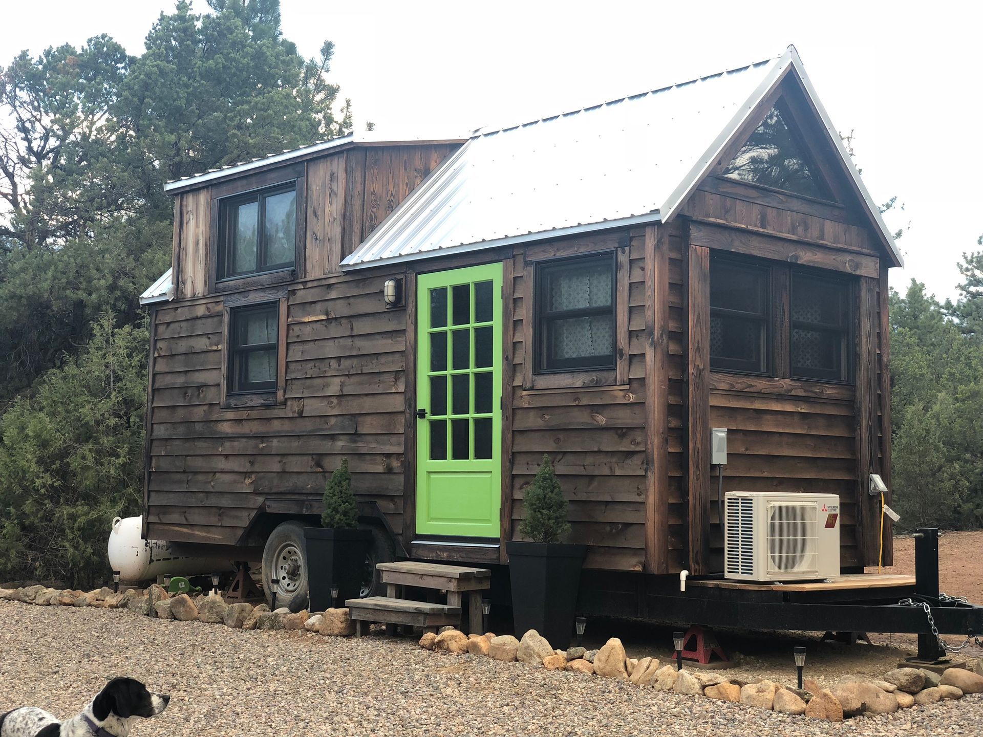 A tiny house with a green door and a dog in front of it.