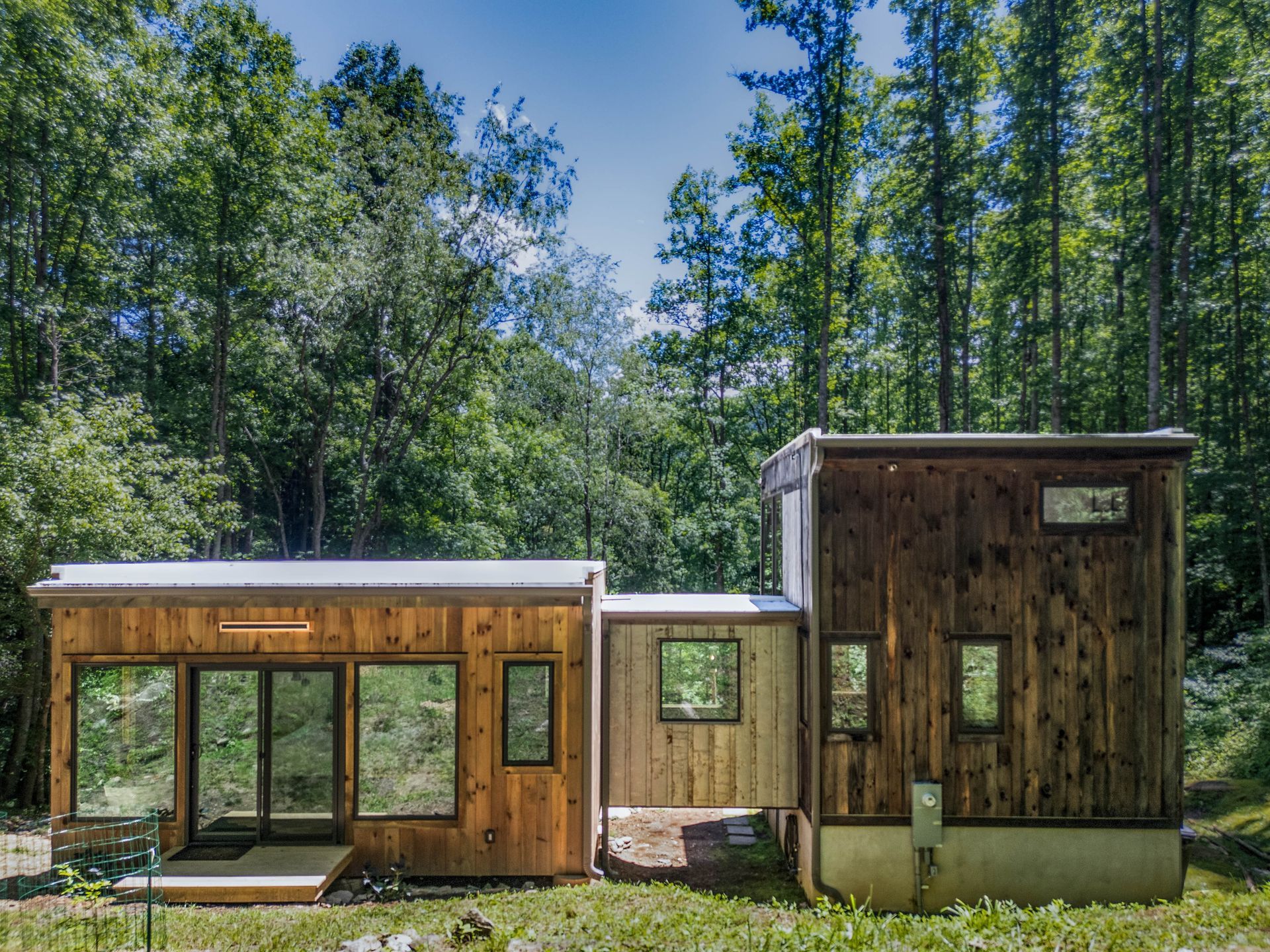 Three small rustic cabins with wood siding in a forest clearing under tall trees