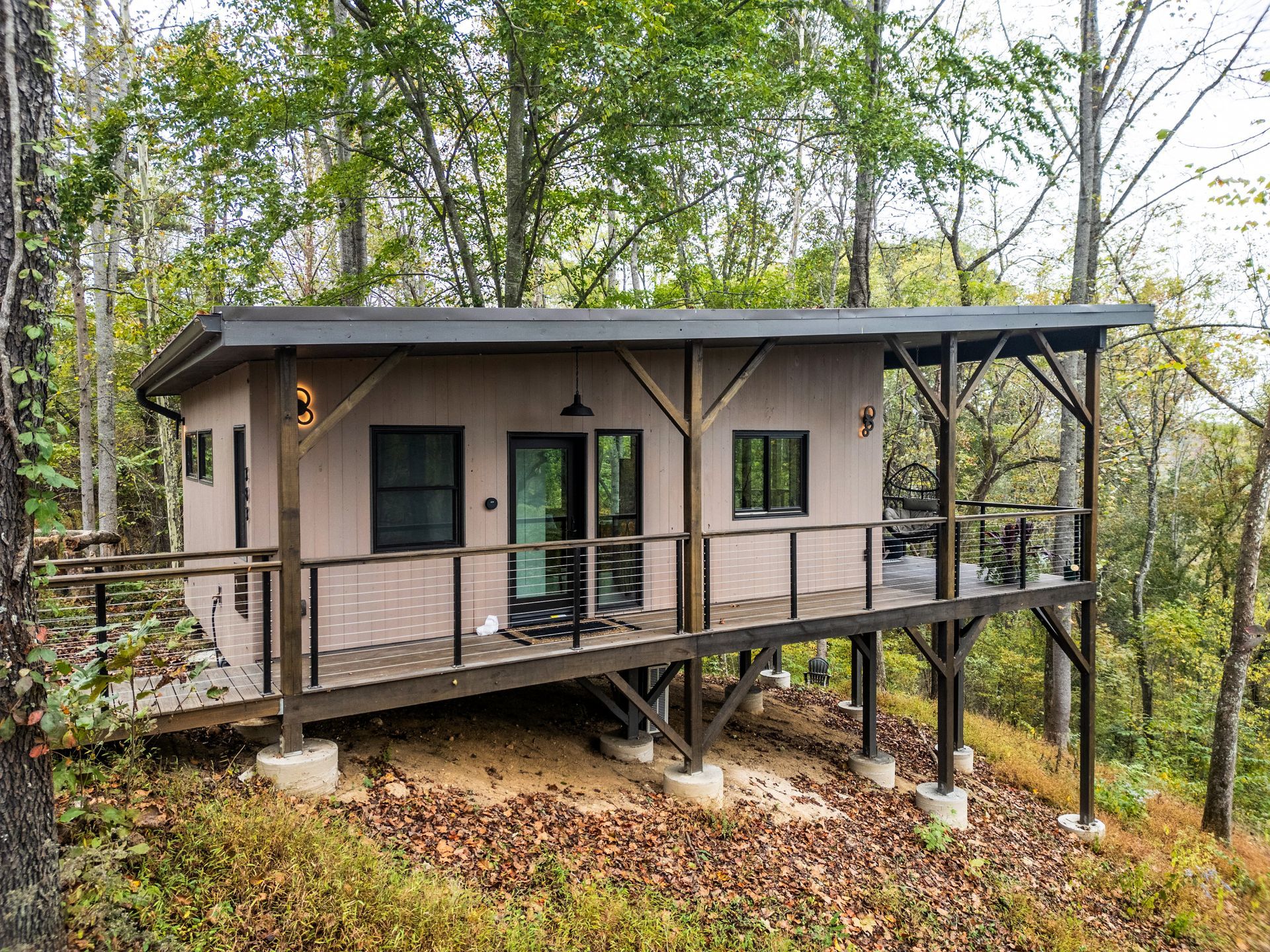 Small black house with a sloped metal roof and large windows in a wooded area