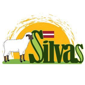 Silvas logo