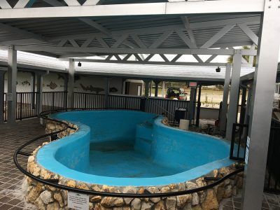 Empty blue indoor pool with stone edge under a covered pavilion.