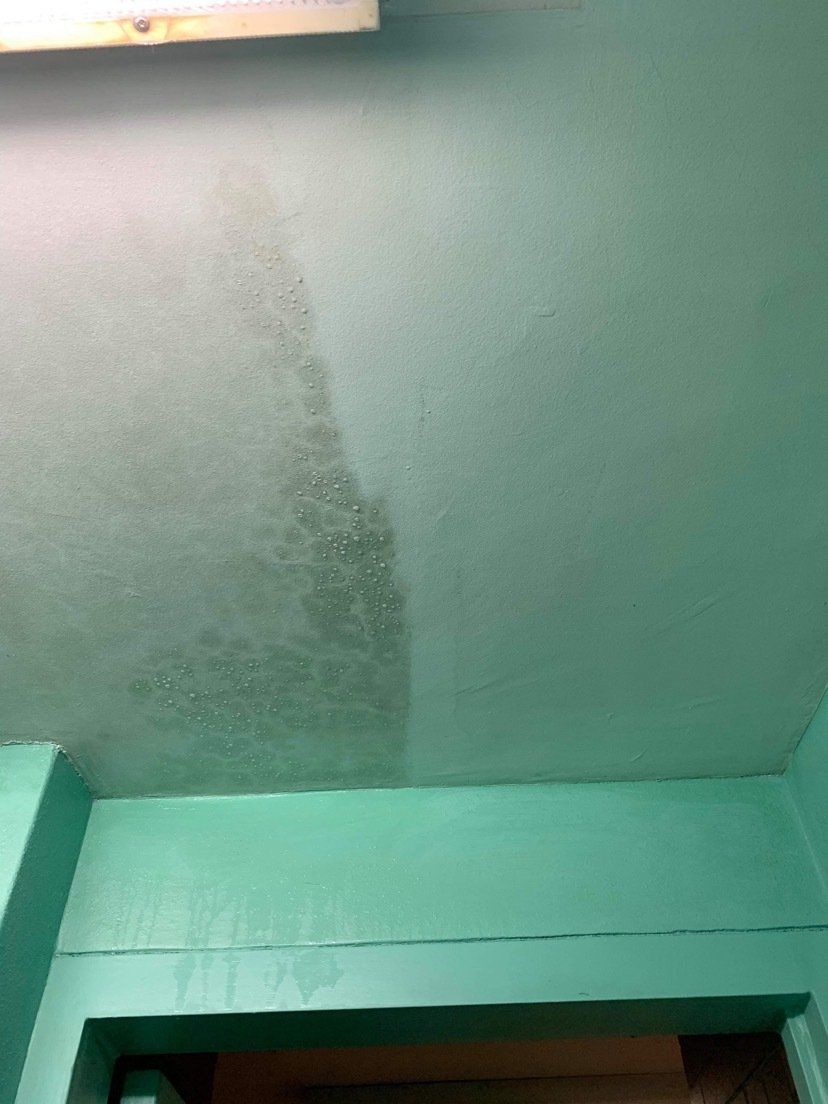 Moist Ceiling — Carpet Cleaning In Townsville QLD