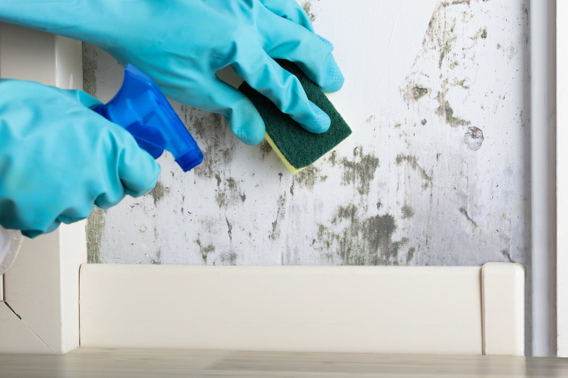 Cleaning The Wall — Carpet Cleaning In Townsville QLD